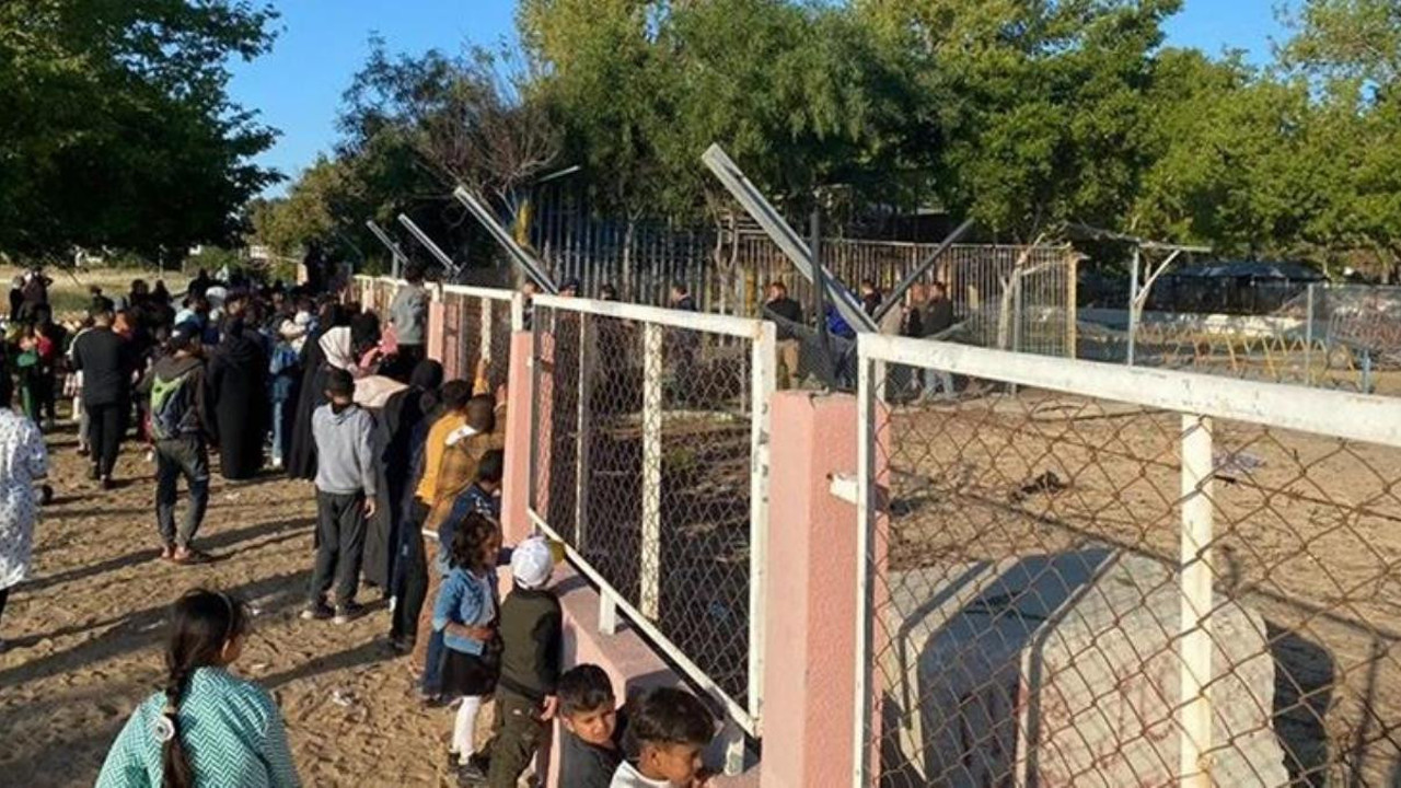 Gazze Şeridi’nde hayvanat bahçesindeki aslan çocuğu öldürdü