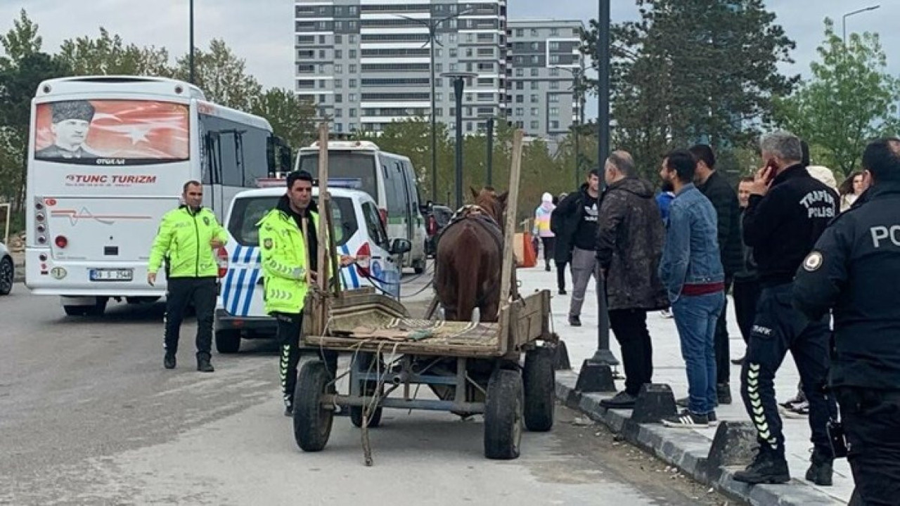 'Dur' ihtarına uymayan at arabası ortalığı birbirine kattı