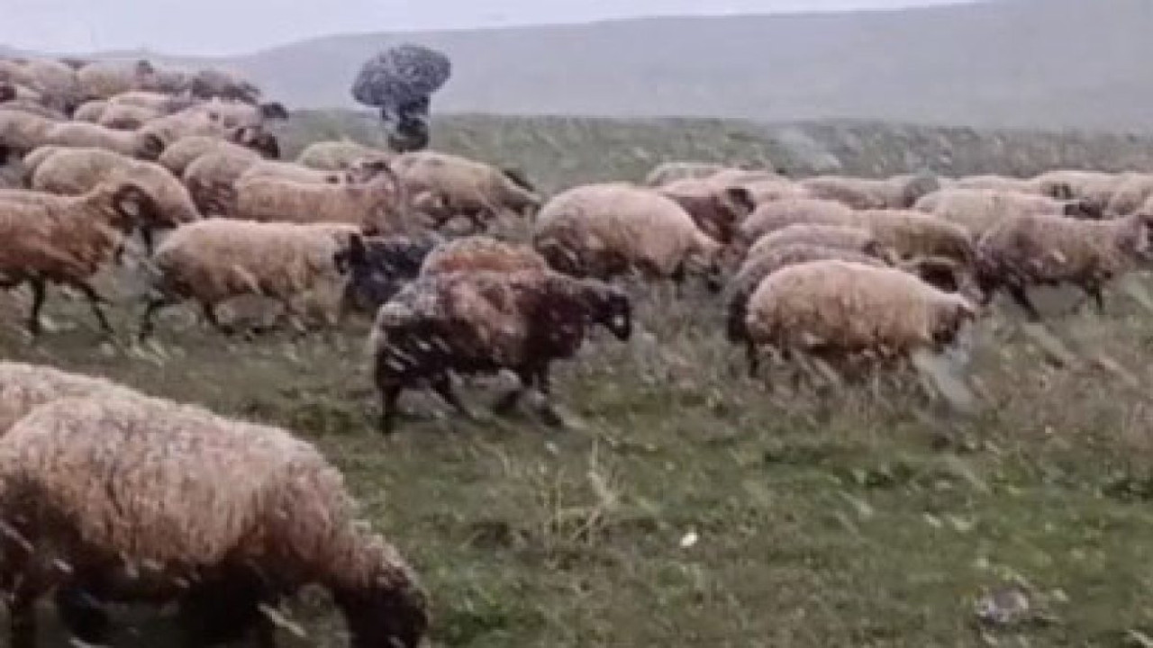 Ahlat’ta mayısta kar sürprizi