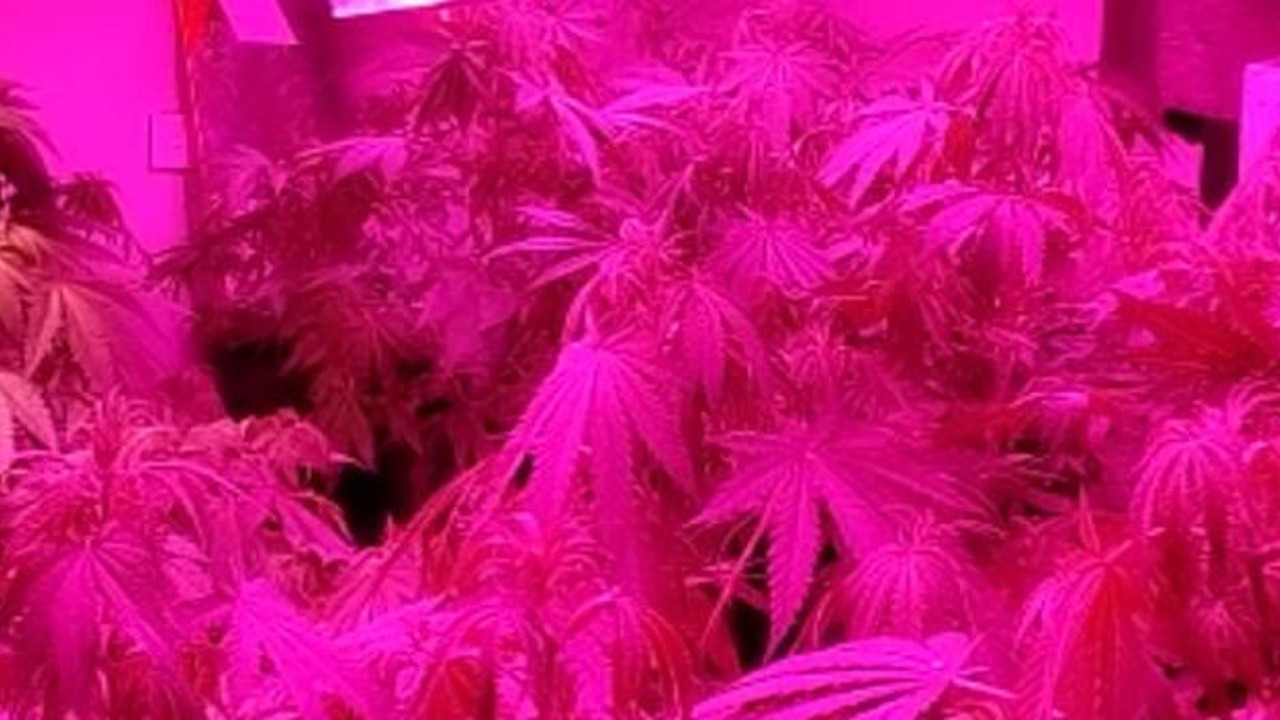 Evini seraya çevirdi