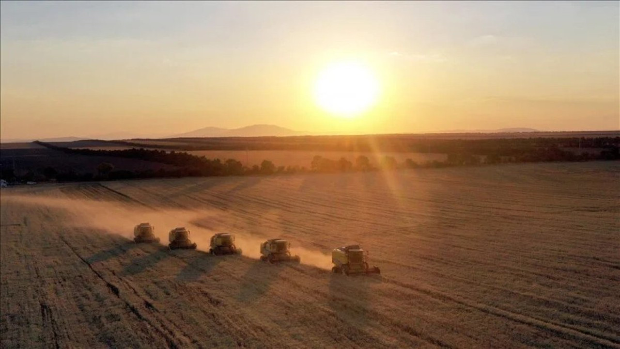 Hububat ve bakliyat ihracatı 4 ayda 3,8 milyar dolara ulaştı