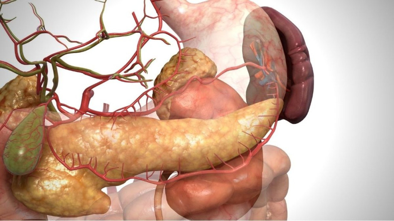 Dikkat! Pankreas kanserinin erken belirtisi olabilir