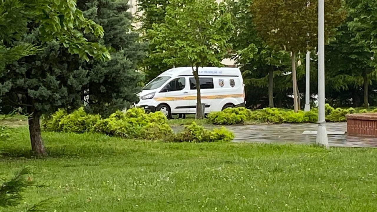 Mesire alanında ölü bulundu