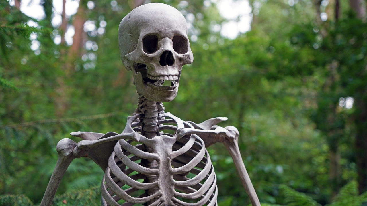 Rüyada iskelet görmek ne demek? Rüyada iskelet görmenin anlamı nedir?