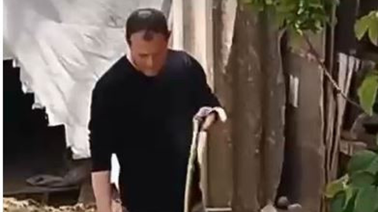 Yılan evin bahçesinde girdi. Her yerden fışkırıyor