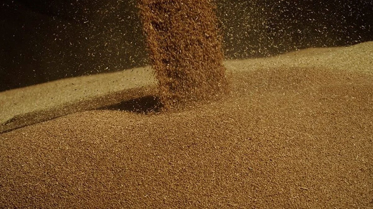 Putin: Bu yıl 55-60 milyon ton tahıl ihraç edeceğiz