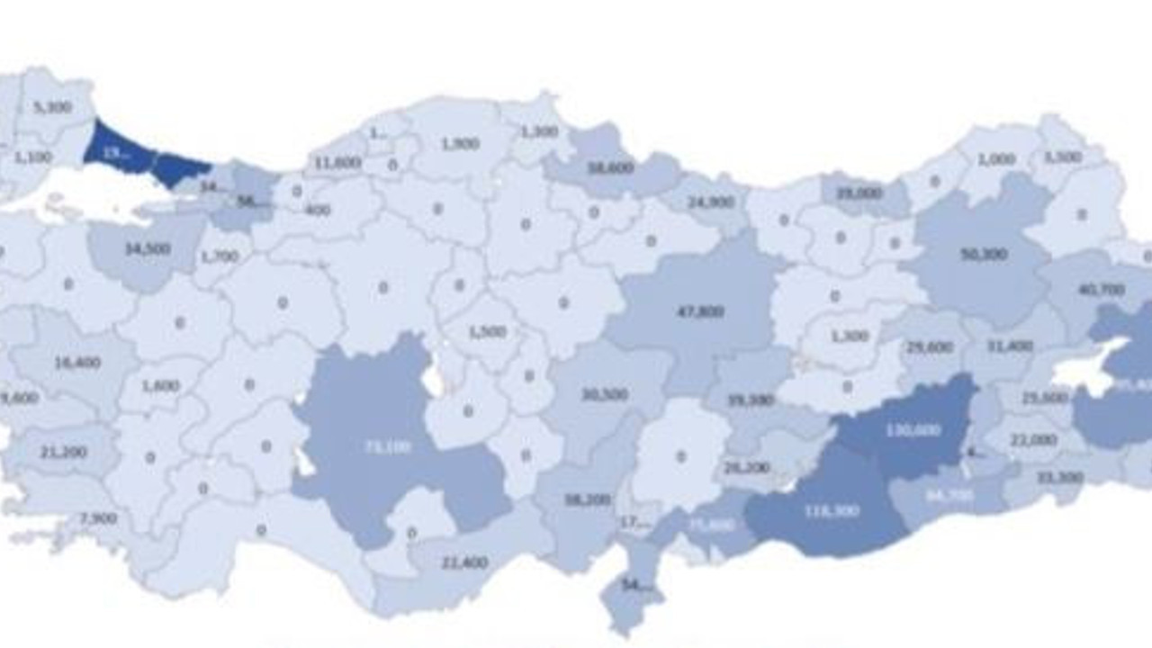 Erdoğan'ın normalden daha fazla oyunun hesaplandığı iller. Ekonomist Mustafa Sönmez harita paylaşıp uyardı