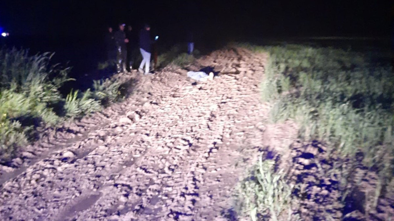 Yaylada üzerlerine yıldırım düştü