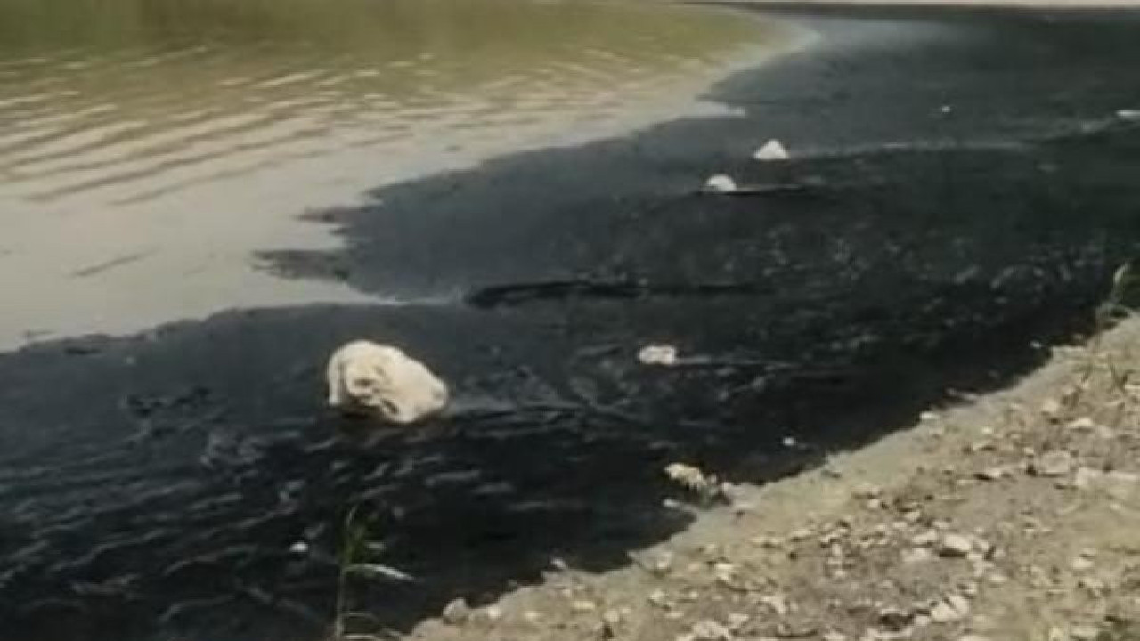 Bursa'da korkutan görüntü: Boğazköy Barajı'nın yüzeyini siyah tabaka kapladı