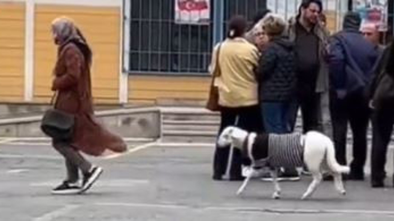 Kazak giydirdiği kuzusuyla oy kullanmaya geldi