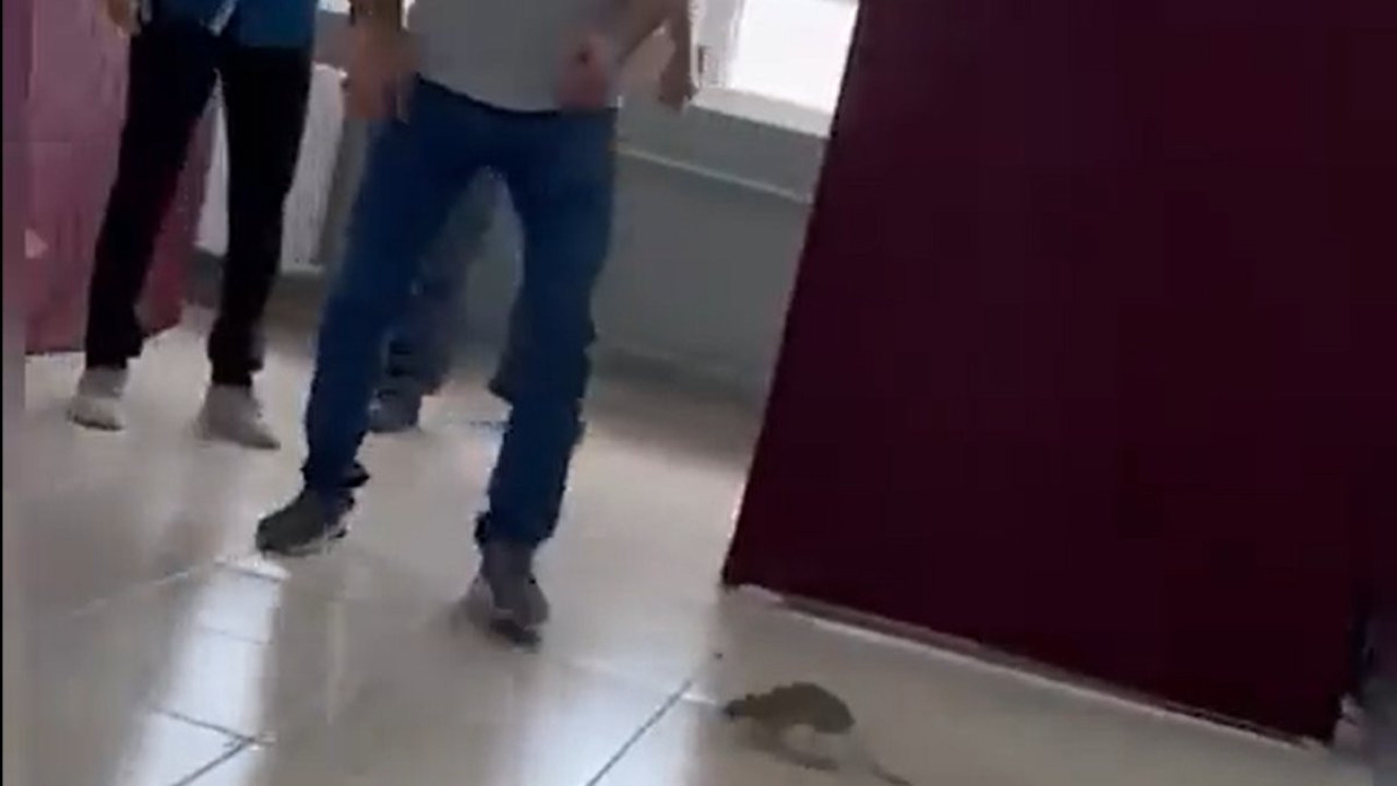 Fare kabine girmeye çalıştı zorla uzaklaştırıldı