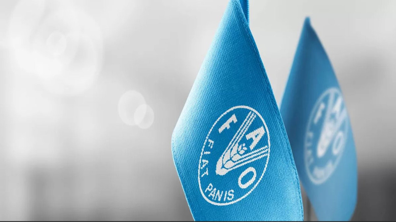 BM açlık konusunda dünyayı uyardı