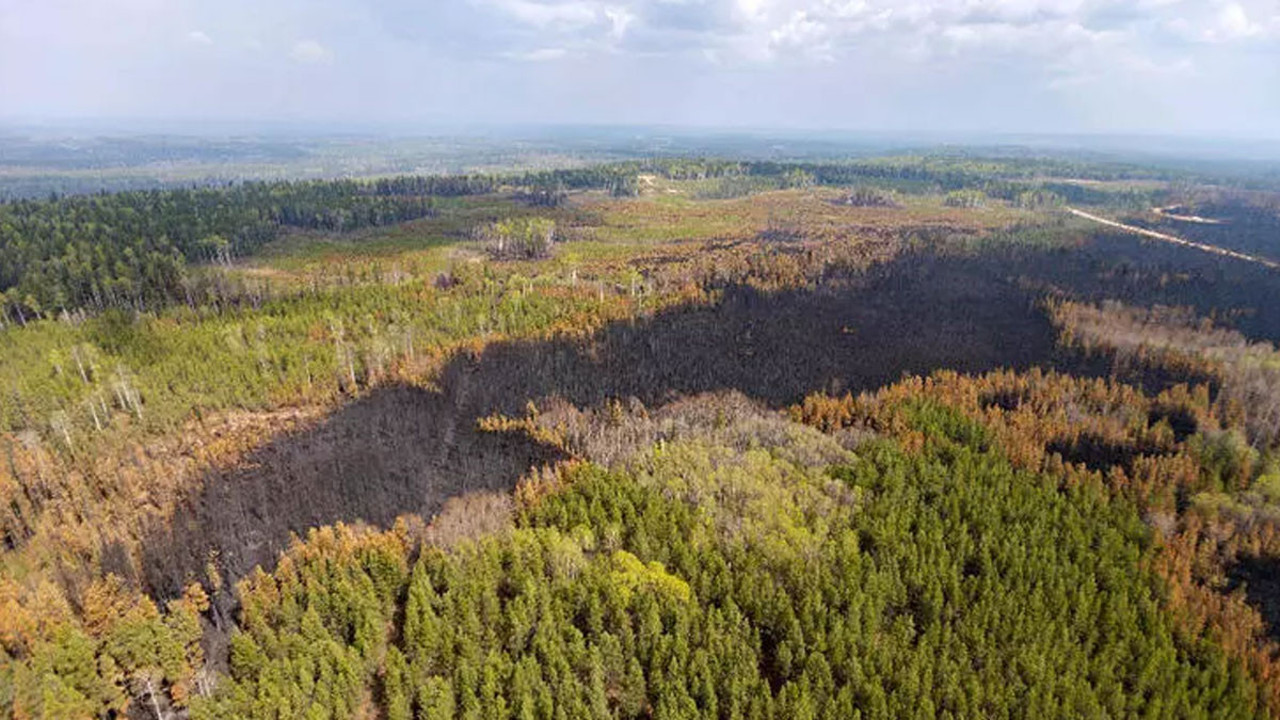 Kanada'da orman yangını nedeniyle acil durum ilan edildi