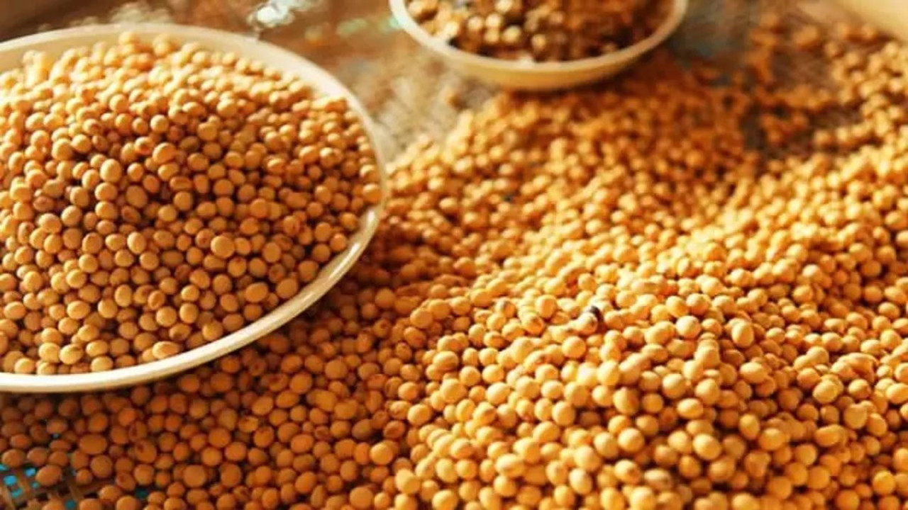 Ölümcül hastalıklara savaş açıyor. Mucize besinin faydaları saymakla bitmiyor