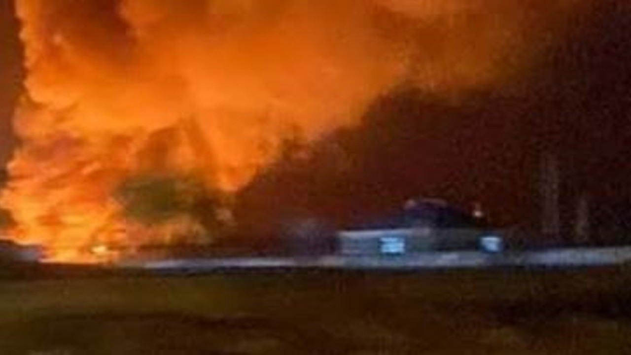 Sazlık yakan adama şok eden ceza