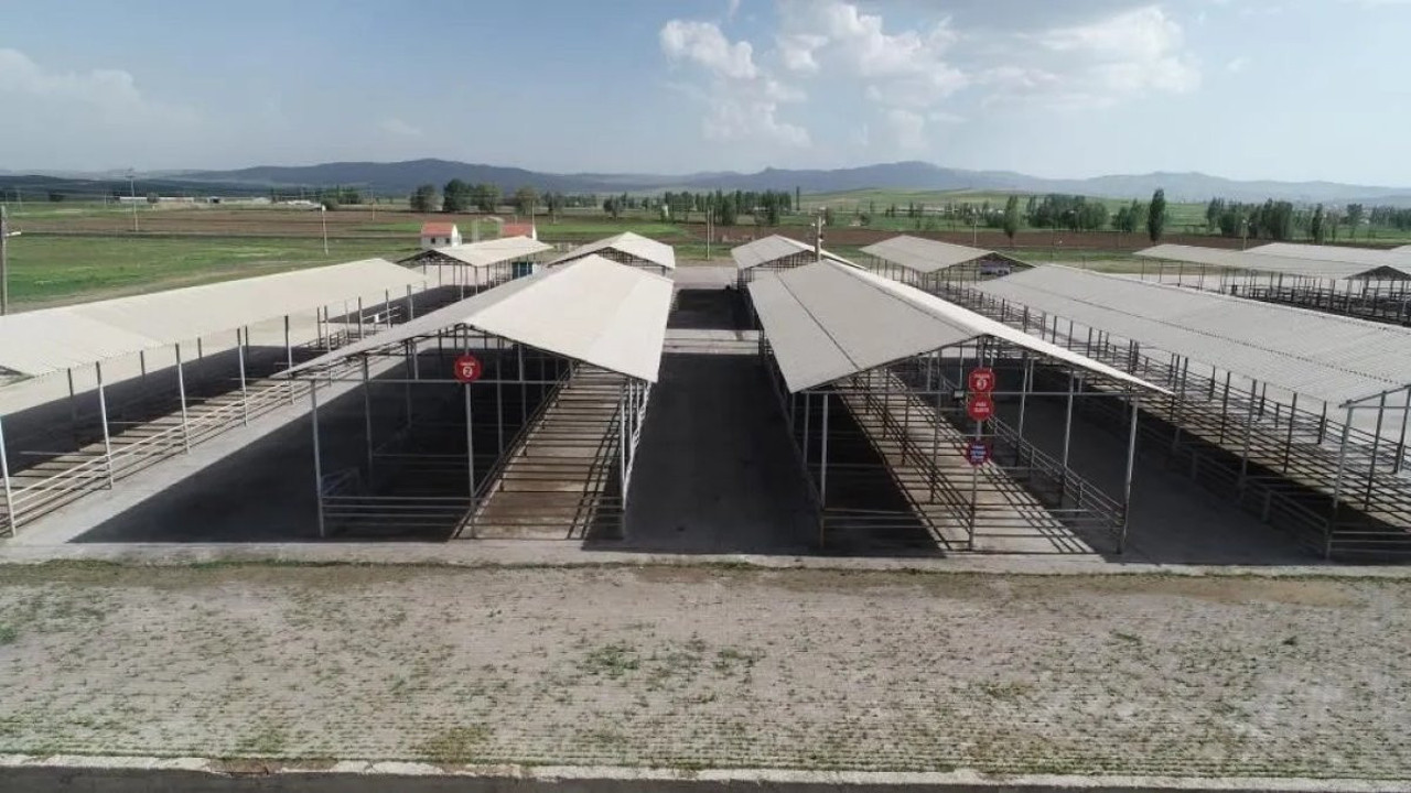 Tümü kapatıldı. Kurban Bayramı öncesi alarma geçildi