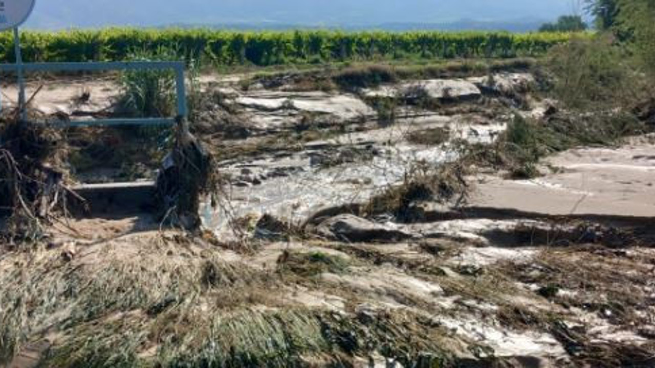 Manisa'nın Sarıgöl Ovası'nı sel vurdu