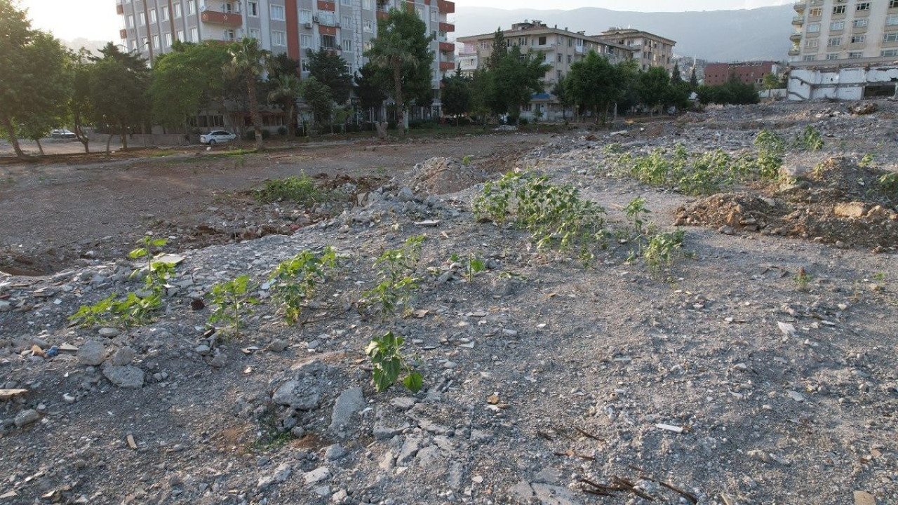 Deprem bölgesinde görenleri şaşırtan olay: Hayatımda böyle bir manzara ile karşılaşmadım