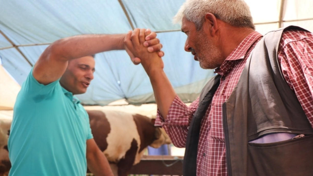 Kurbanlık fiyatları belli oldu: Büyükbaşın derdi büyük olacak