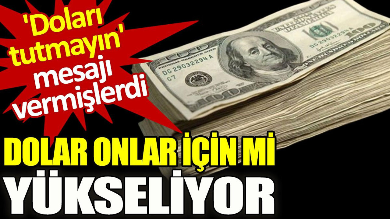 Dolar onlar için mi yükseliyor? 'Doları tutmayın' mesajı vermişlerdi