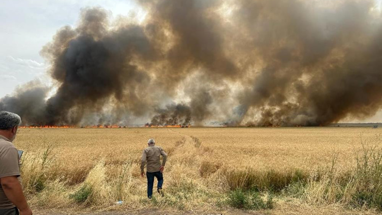 120 dönüm buğday tarlasında yangın