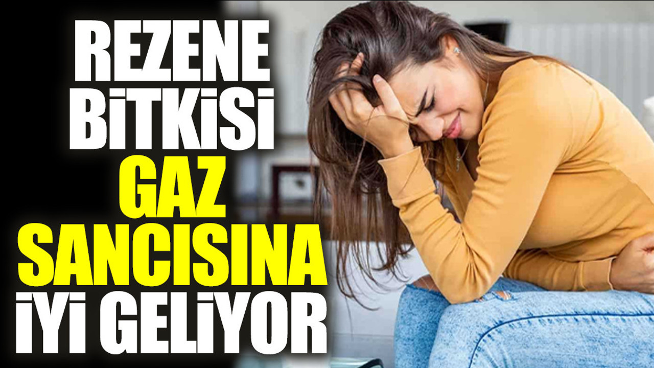 Gaz sancısına iyi gelen mucize ot