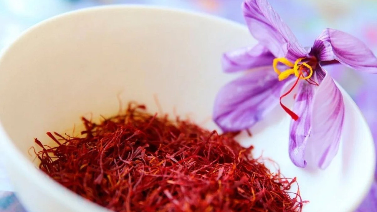 Mucize ot regl gecikmelerinde faydalı