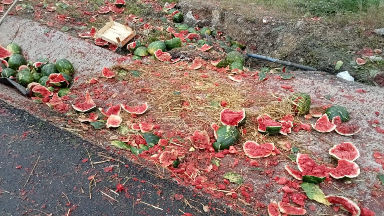 Kamyonet devrildi, tonlarca karpuz yola saçıldı