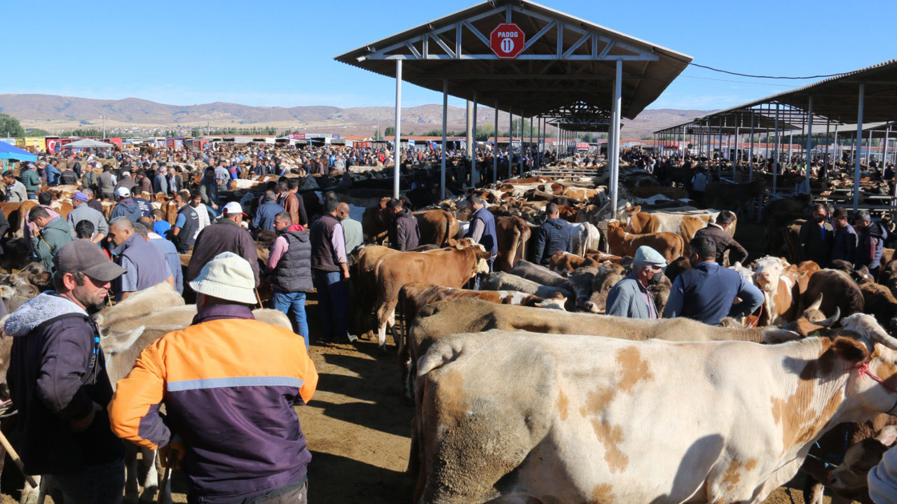 Şap karantinası nedeniyle Sivas'ta kurban pazarı açılmayacak