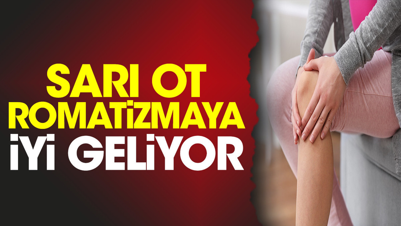 Romatizmaya iyi gelen ot (15 Haziran 2023)