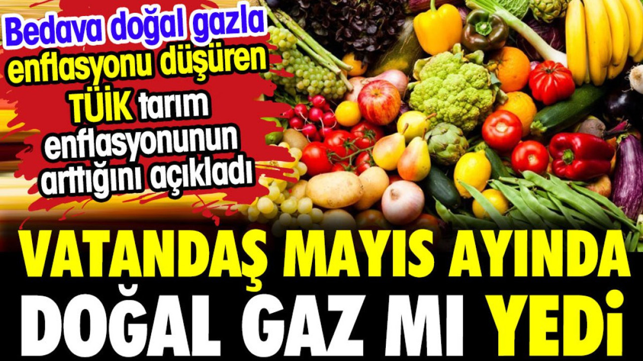 Vatandaş mayıs ayında doğal gaz mı yedi? Tarımdaki enflasyon bakın kaç çıktı?