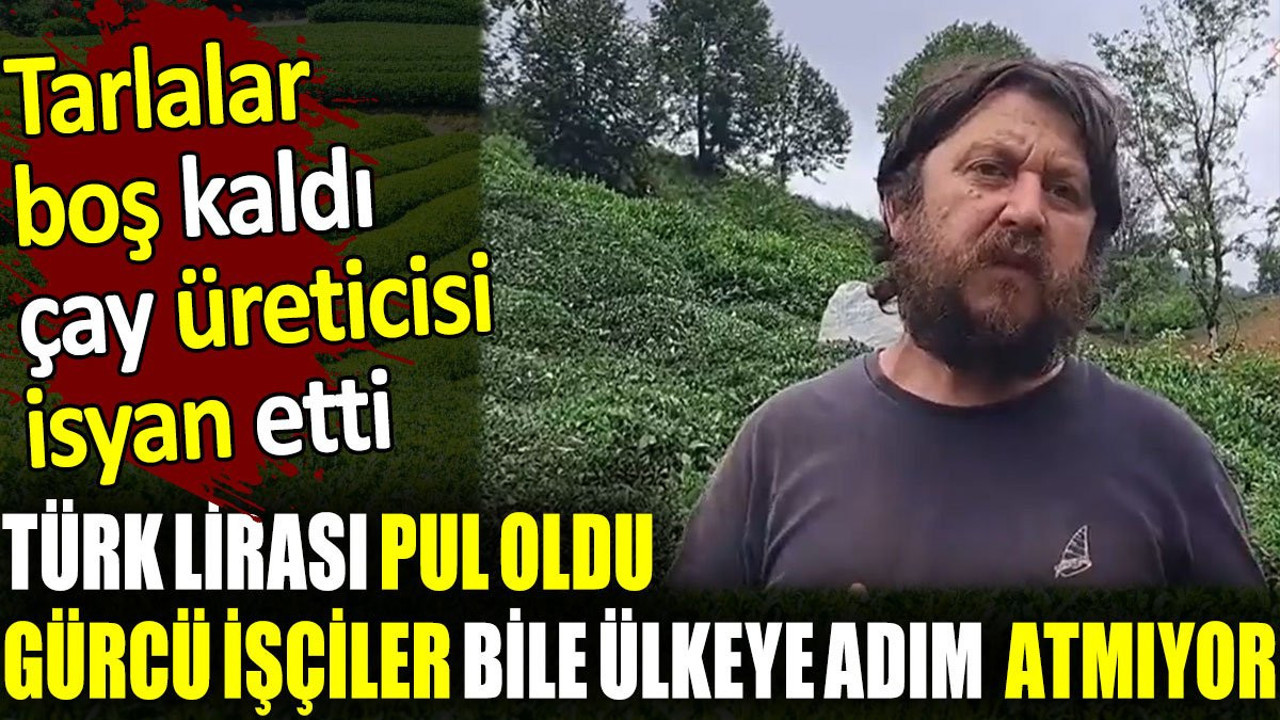 Türk Lirası pul oldu. Gürcü işçiler bile ülkeye adım atmıyor