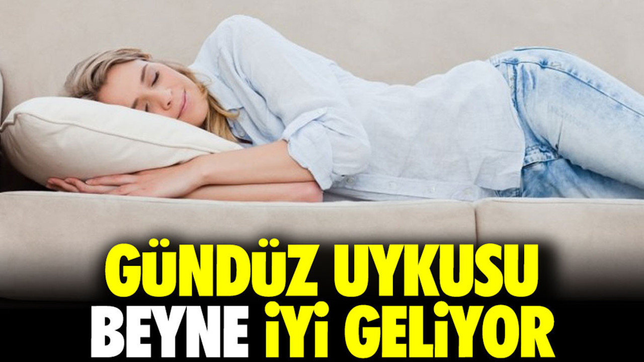 Gündüz uykusu beyne iyi geliyor