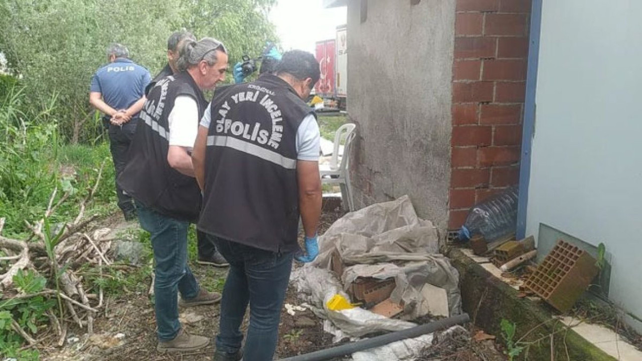 'Ağaçtan erik koparma' kavgasında silahlar çekildi