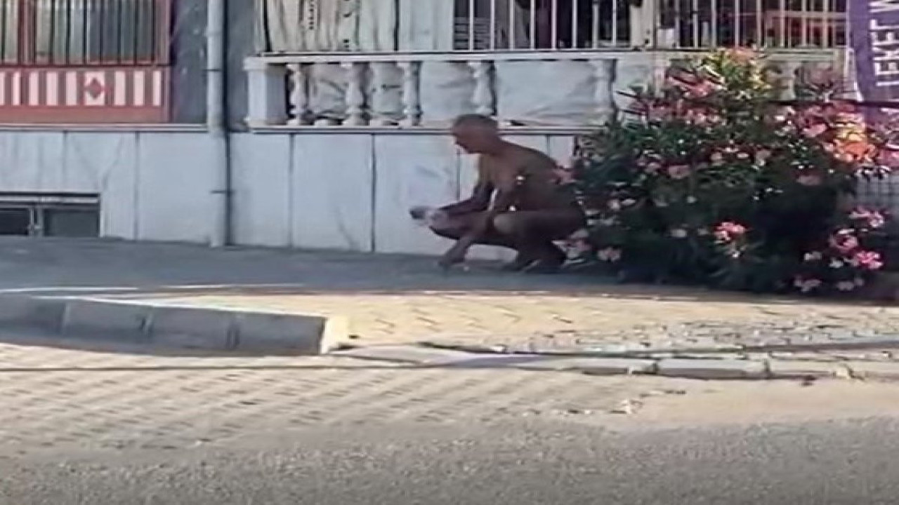 Aydın'da sokakta çıplak koşan şahsı polis gözaltına alındı