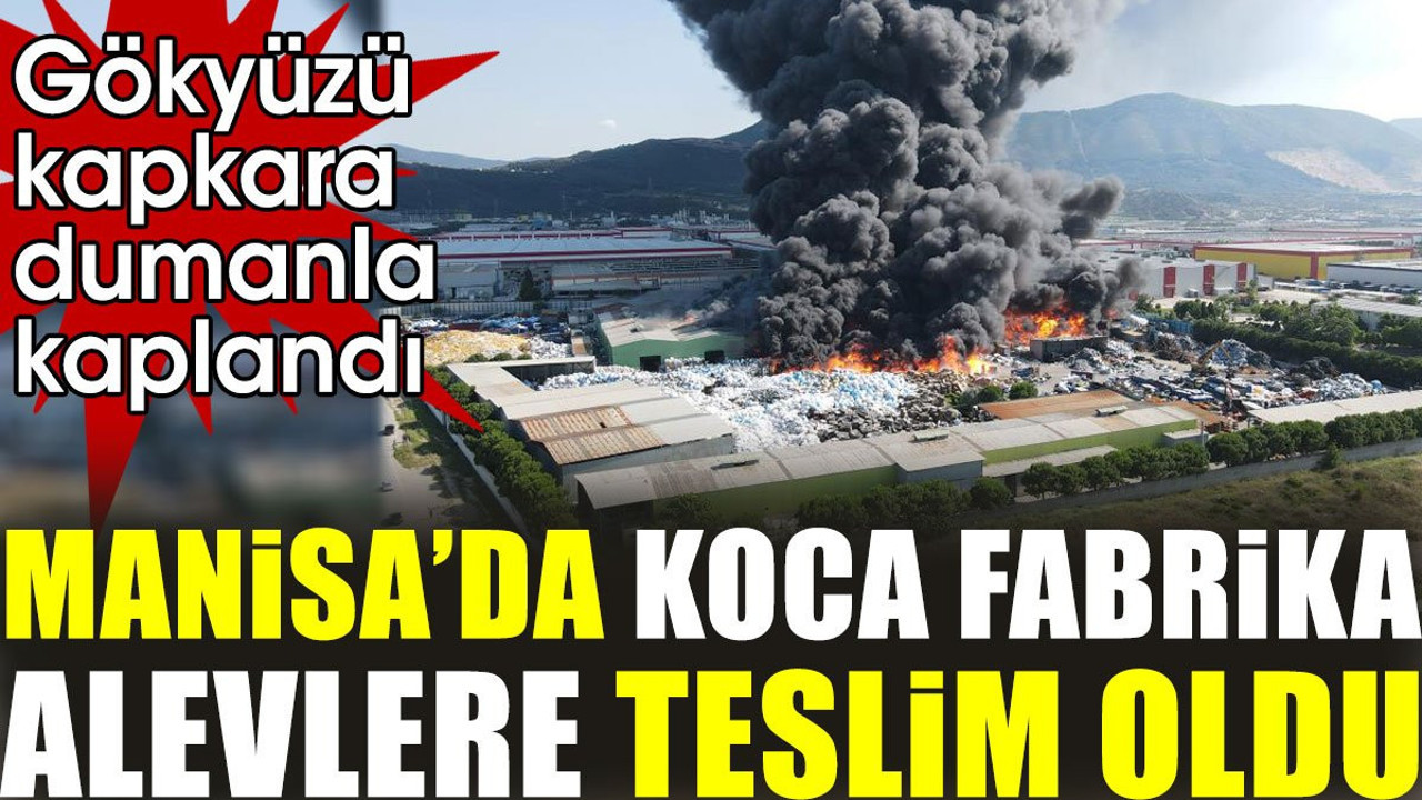 Manisa'da koca fabrika alevlere teslim oldu