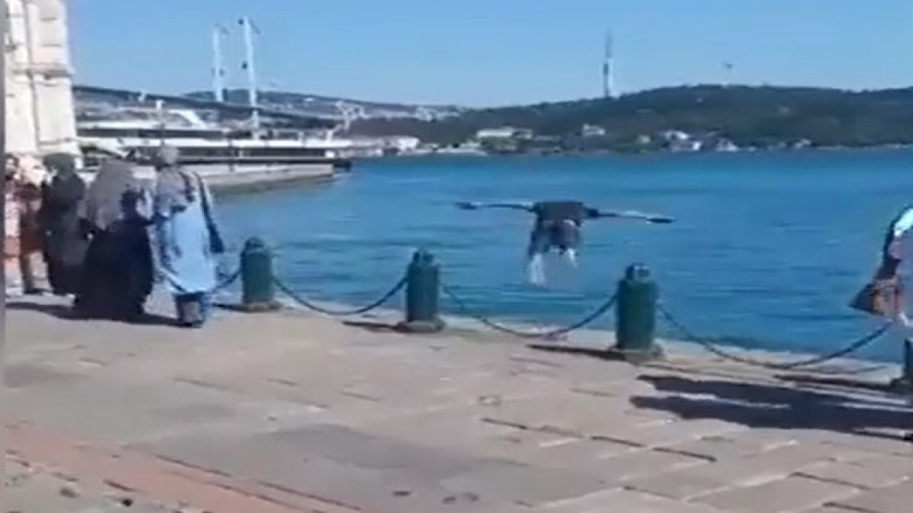 Memleket koca bir sığınmacı kampına döndü. İstanbul Boğazı'nda tehlikeli anlar