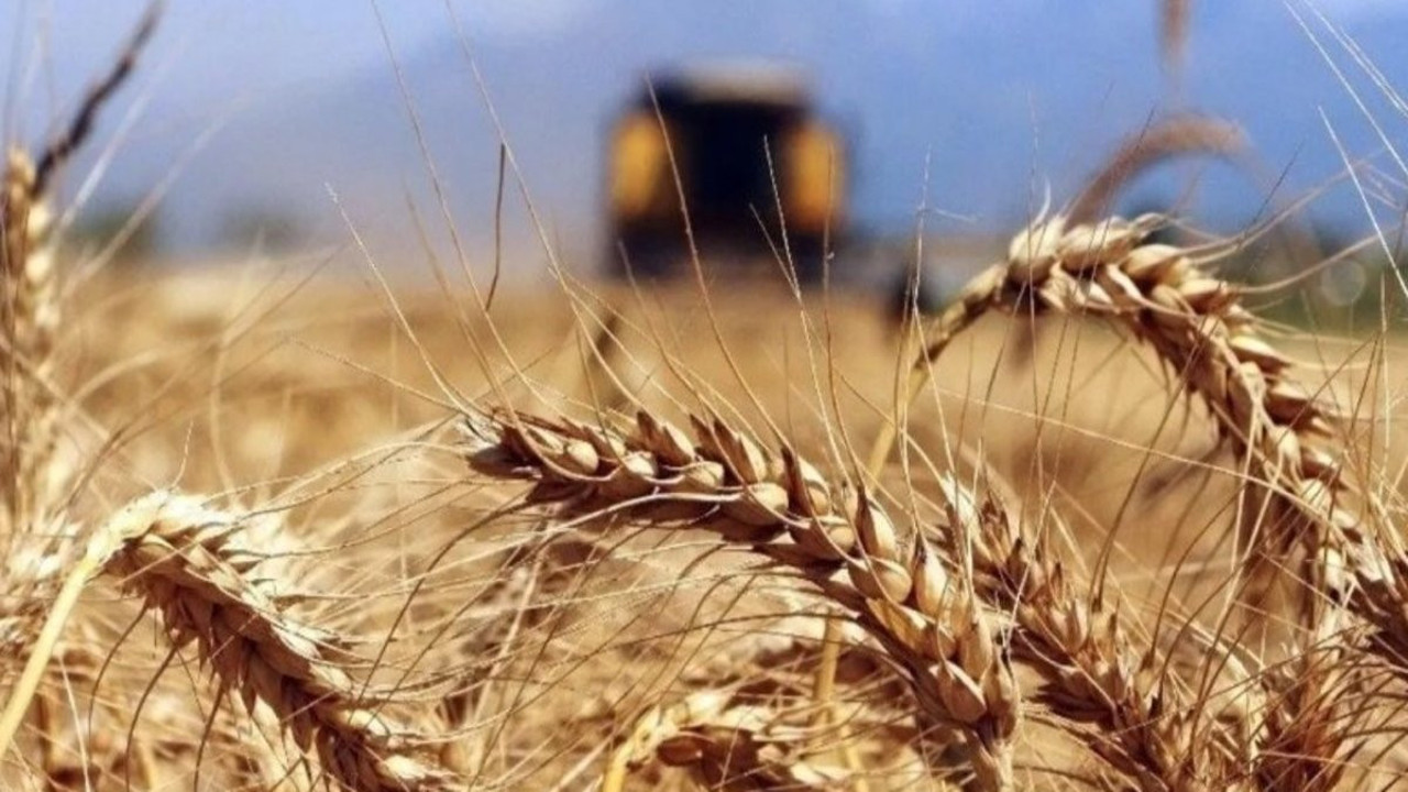 TMO'nun hububat satış fiyatları belirlendi