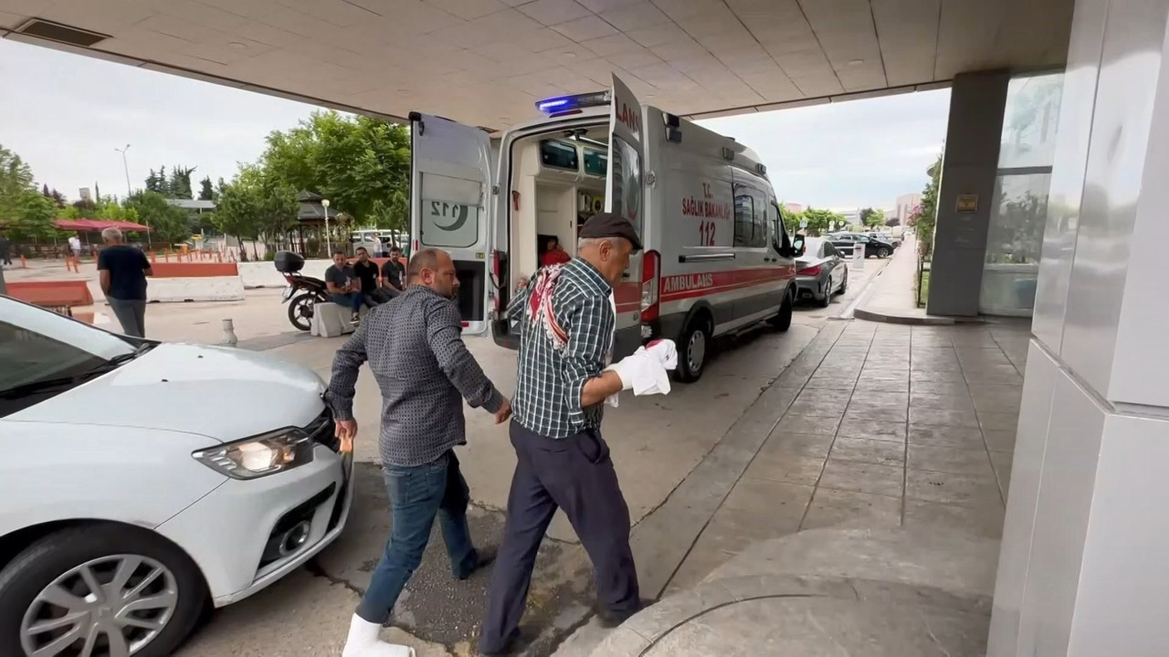 Acemi kasaplar hastanelik oldu (28 Haziran 2023)