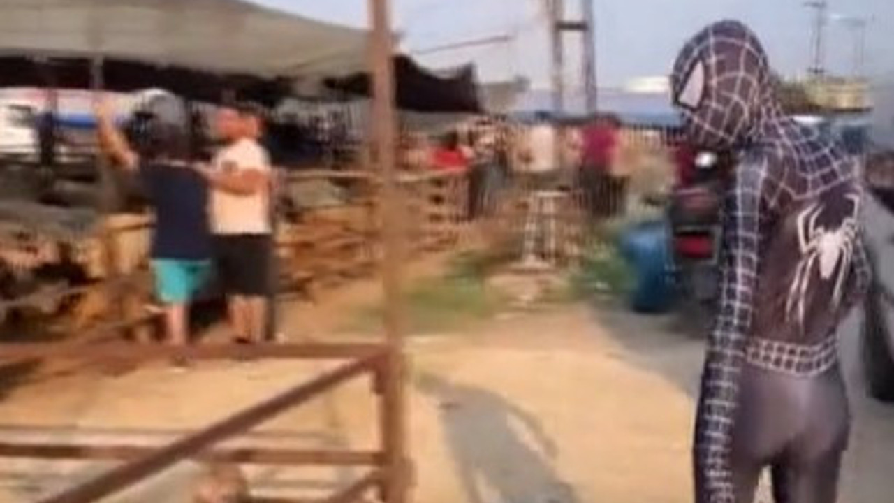 'Örümcek Adam' kurban pazarında görenleri şaşkına çevirdi