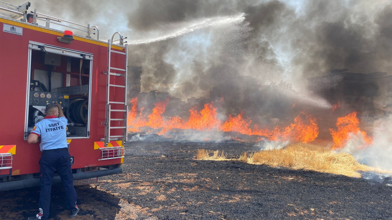 130 dekar tarım arazisi küle döndü