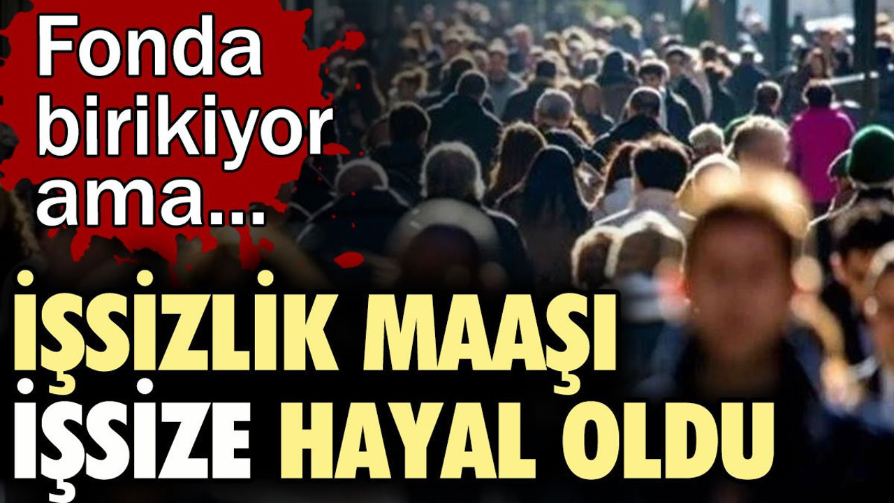 İşsizlik maaşı işsize hayal oldu. Fonda birikiyor ama...