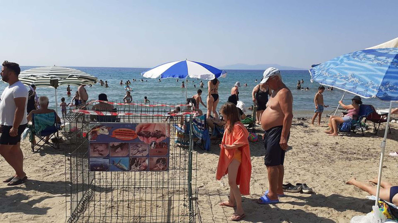 Kuşadası'nda Caretta Caretta yuvasına çitli koruma