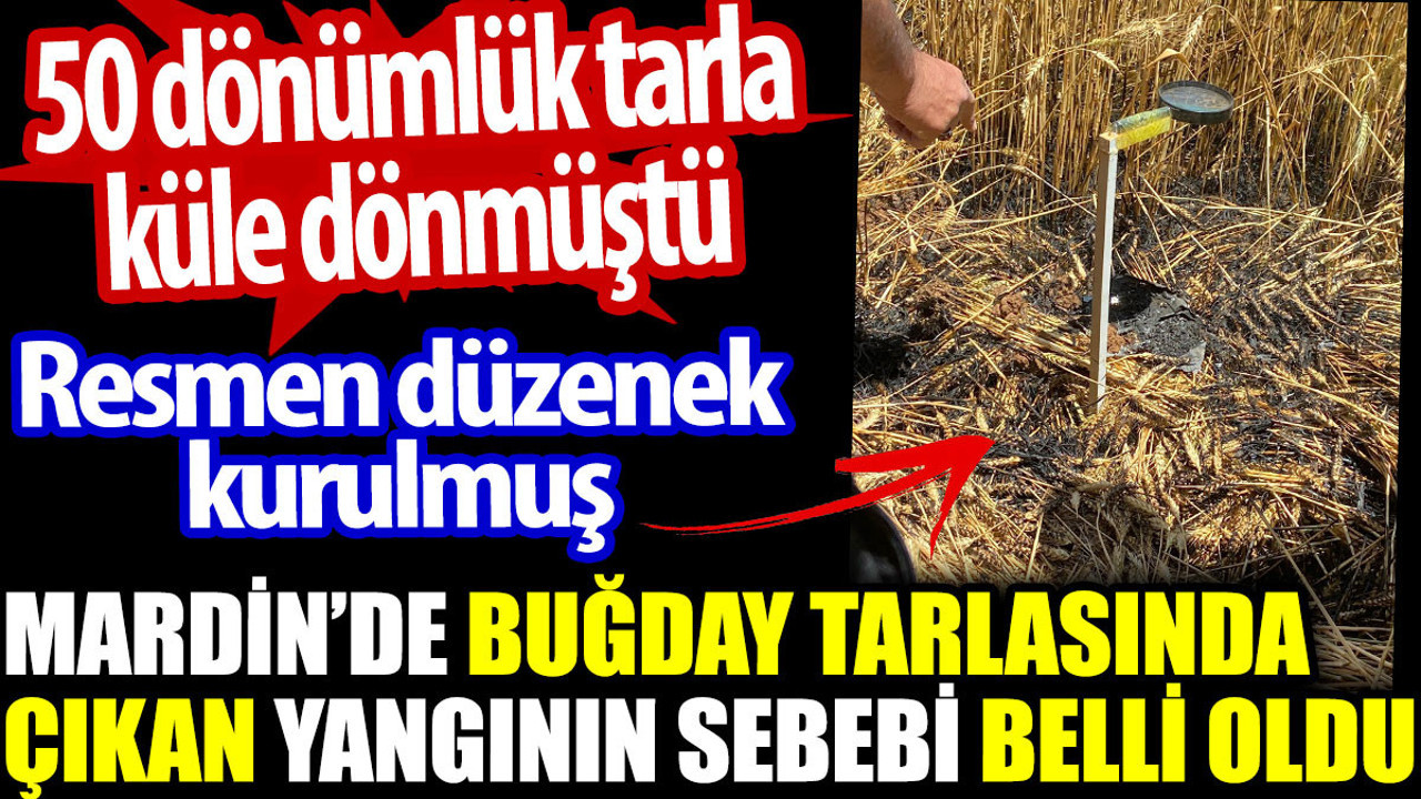 Mardin’de yanan tarlaya mercek düzeneğinin kurulduğu ortaya çıktı