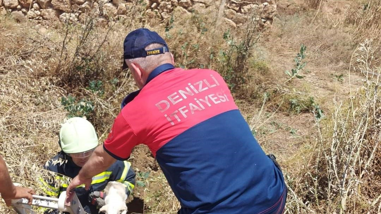 10 metrelik kuyuya düşen köpek kurtarıldı