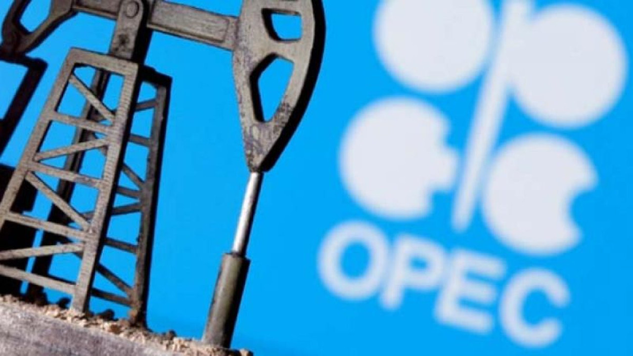 OPEC üyelik için görüşmeler yapıyor