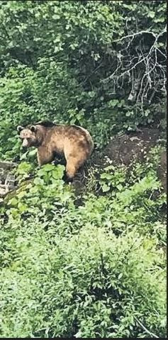 Gözleri KaraDeniz'in Çamlıhemşin’deki setini ayı bastı! Oyuncular şaşkın: Kadroya bomba transferler geldi - Resim: 43
