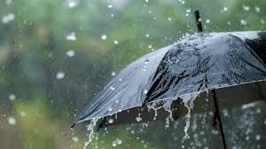 Meteoroloji'den o iller için sağanak ve sis uyarısı - Resim: 6