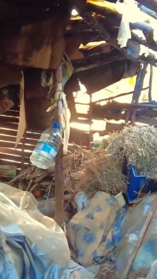 20 yıldır dağda yaşayan adamın hikayesi! ‘Cumhurbaşkanı kim bilmiyorum’ - Resim : 2