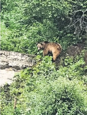 Gözleri KaraDeniz'in Çamlıhemşin’deki setini ayı bastı! Oyuncular şaşkın: Kadroya bomba transferler geldi - Resim: 3